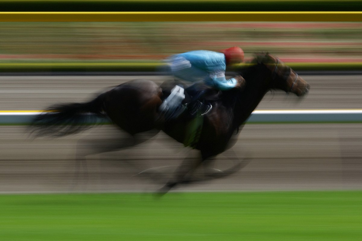 競走馬と騎手が疾走する様子